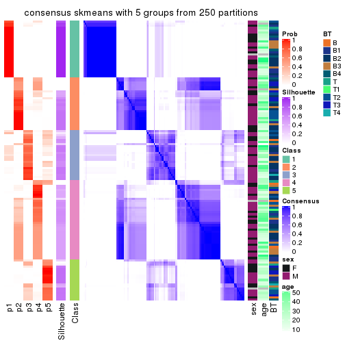 plot of chunk tab-ATC-skmeans-consensus-heatmap-4