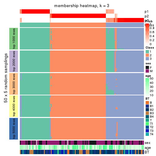 plot of chunk tab-ATC-skmeans-membership-heatmap-2