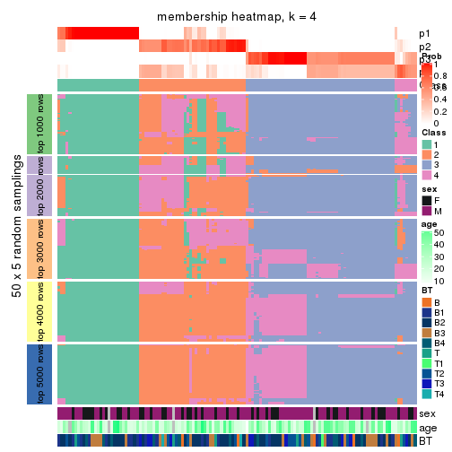 plot of chunk tab-ATC-skmeans-membership-heatmap-3