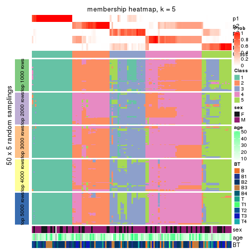 plot of chunk tab-ATC-skmeans-membership-heatmap-4