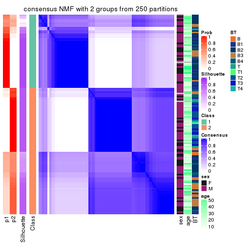 plot of chunk tab-CV-NMF-consensus-heatmap-1