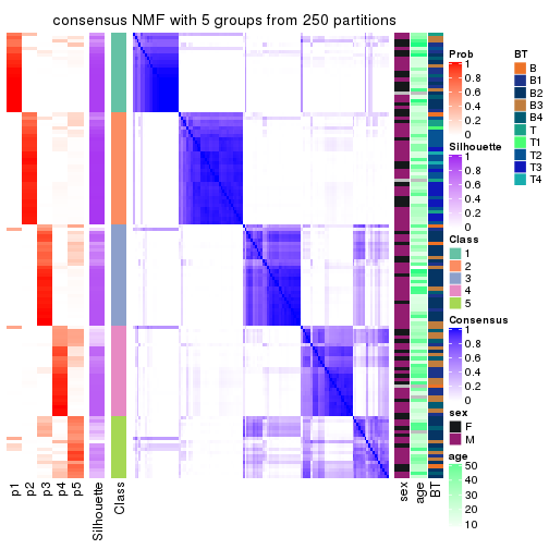 plot of chunk tab-CV-NMF-consensus-heatmap-4