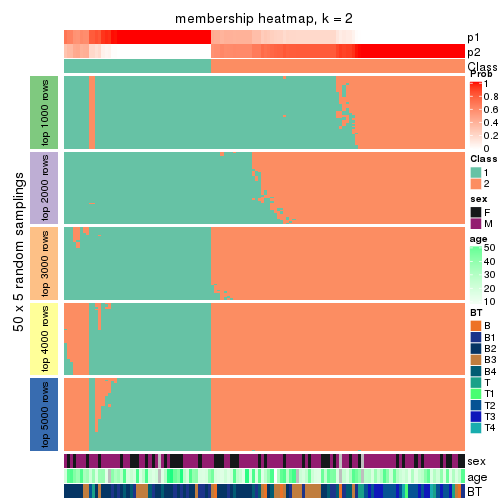 plot of chunk tab-CV-NMF-membership-heatmap-1