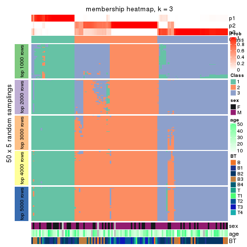 plot of chunk tab-CV-NMF-membership-heatmap-2