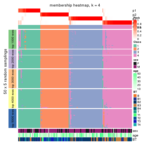 plot of chunk tab-CV-NMF-membership-heatmap-3