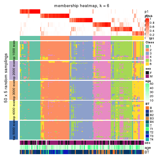 plot of chunk tab-CV-NMF-membership-heatmap-5