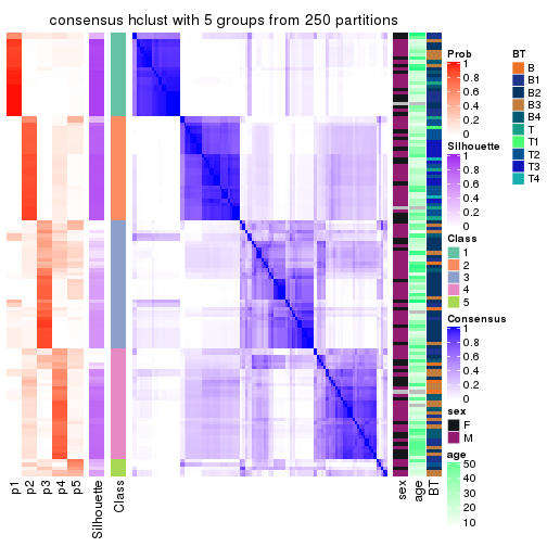 plot of chunk tab-CV-hclust-consensus-heatmap-4