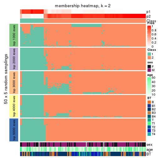 plot of chunk tab-CV-hclust-membership-heatmap-1