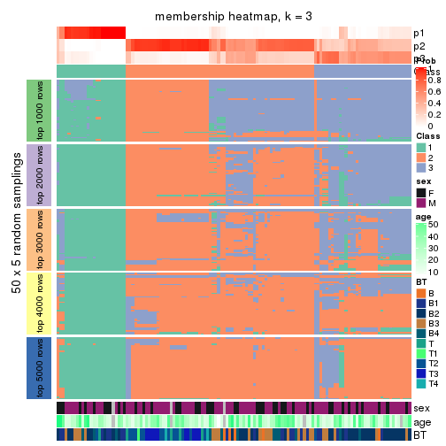 plot of chunk tab-CV-hclust-membership-heatmap-2