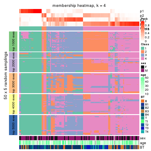 plot of chunk tab-CV-hclust-membership-heatmap-3