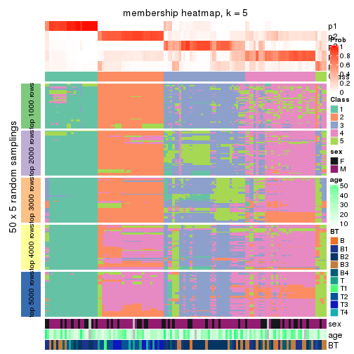 plot of chunk tab-CV-hclust-membership-heatmap-4