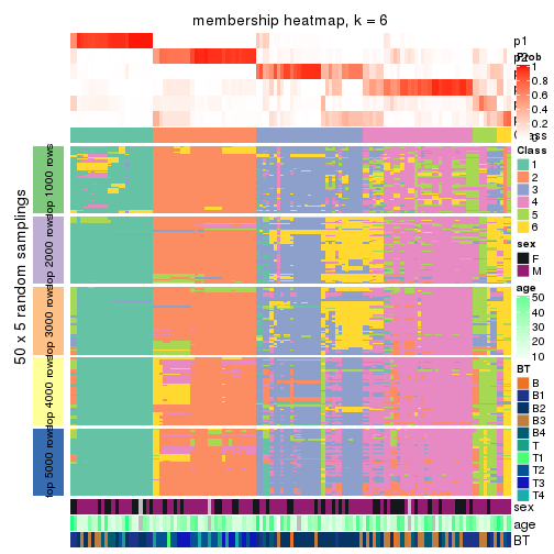 plot of chunk tab-CV-hclust-membership-heatmap-5