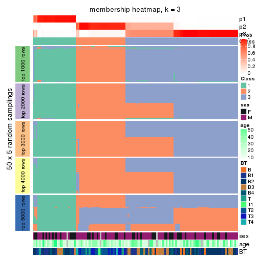 plot of chunk tab-CV-kmeans-membership-heatmap-2