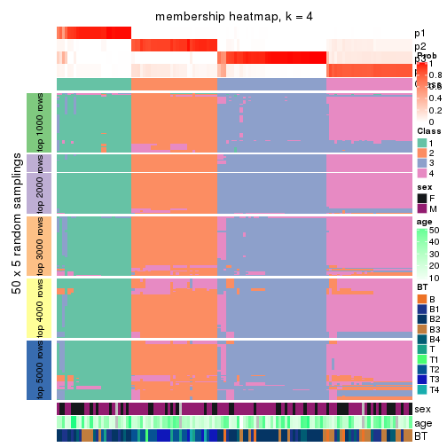 plot of chunk tab-CV-kmeans-membership-heatmap-3