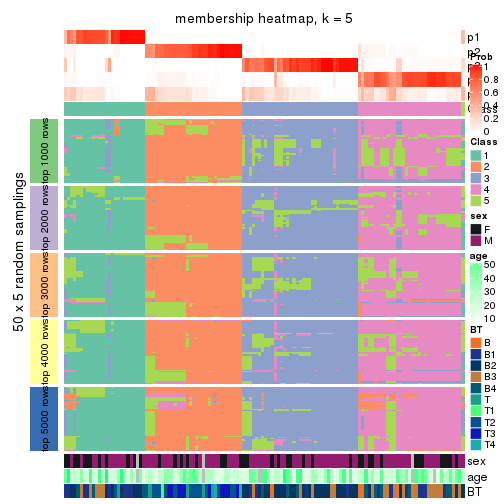 plot of chunk tab-CV-kmeans-membership-heatmap-4