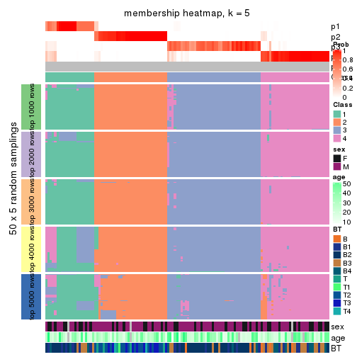 plot of chunk tab-CV-mclust-membership-heatmap-4