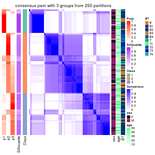 plot of chunk tab-CV-pam-consensus-heatmap-2