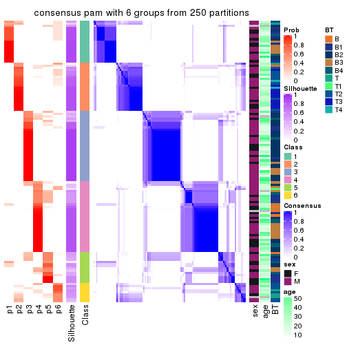 plot of chunk tab-CV-pam-consensus-heatmap-5