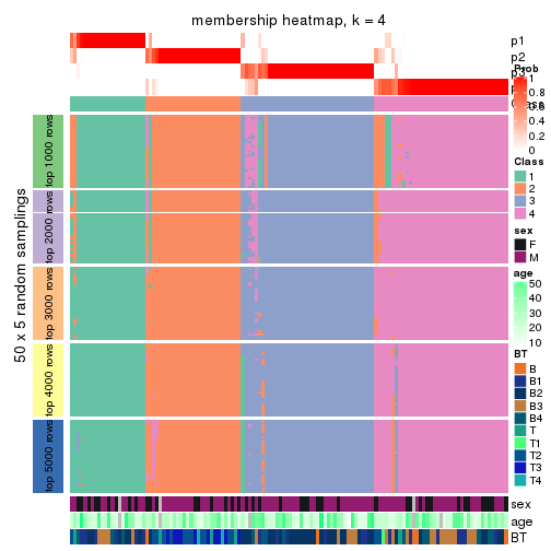 plot of chunk tab-CV-pam-membership-heatmap-3