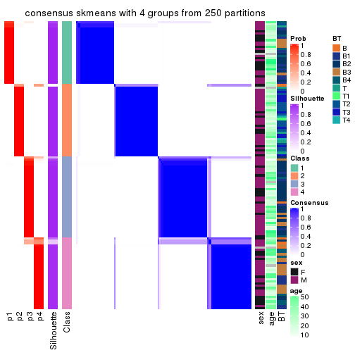 plot of chunk tab-CV-skmeans-consensus-heatmap-3