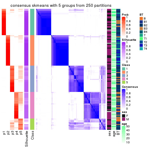 plot of chunk tab-CV-skmeans-consensus-heatmap-4