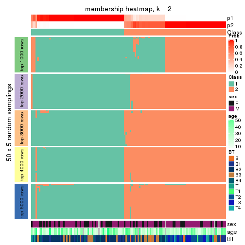 plot of chunk tab-CV-skmeans-membership-heatmap-1