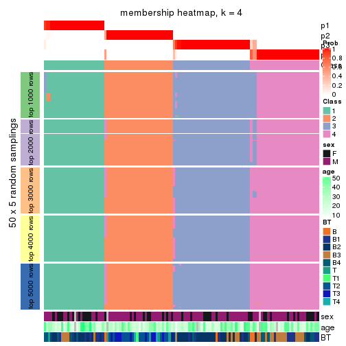 plot of chunk tab-CV-skmeans-membership-heatmap-3