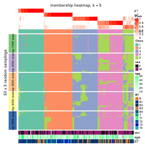 plot of chunk tab-CV-skmeans-membership-heatmap-4