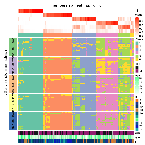 plot of chunk tab-CV-skmeans-membership-heatmap-5