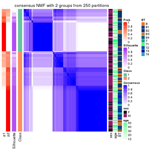 plot of chunk tab-MAD-NMF-consensus-heatmap-1