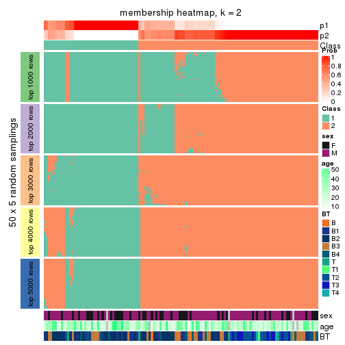 plot of chunk tab-MAD-NMF-membership-heatmap-1