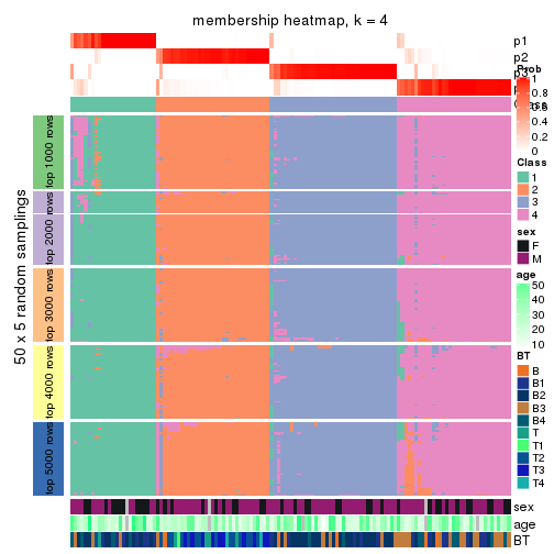 plot of chunk tab-MAD-NMF-membership-heatmap-3