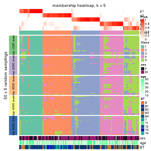 plot of chunk tab-MAD-NMF-membership-heatmap-4