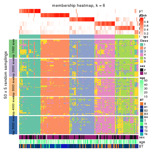 plot of chunk tab-MAD-NMF-membership-heatmap-5