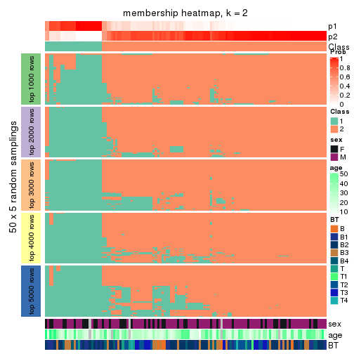 plot of chunk tab-MAD-hclust-membership-heatmap-1