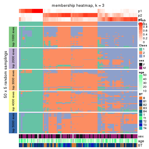 plot of chunk tab-MAD-hclust-membership-heatmap-2