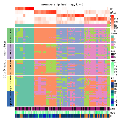 plot of chunk tab-MAD-hclust-membership-heatmap-4