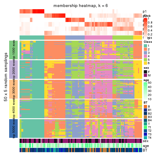 plot of chunk tab-MAD-hclust-membership-heatmap-5