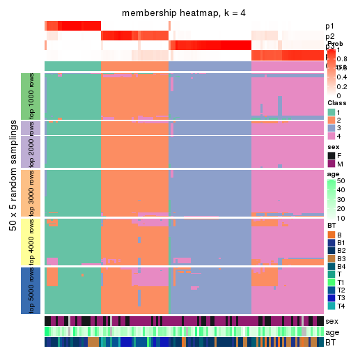 plot of chunk tab-MAD-kmeans-membership-heatmap-3