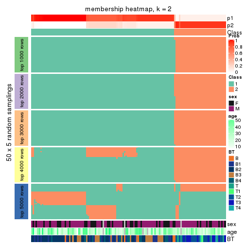 plot of chunk tab-MAD-mclust-membership-heatmap-1