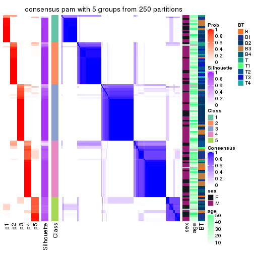 plot of chunk tab-MAD-pam-consensus-heatmap-4