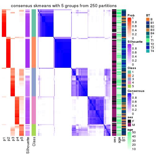 plot of chunk tab-MAD-skmeans-consensus-heatmap-4