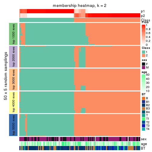 plot of chunk tab-MAD-skmeans-membership-heatmap-1