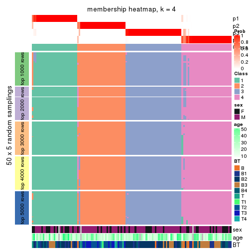 plot of chunk tab-MAD-skmeans-membership-heatmap-3