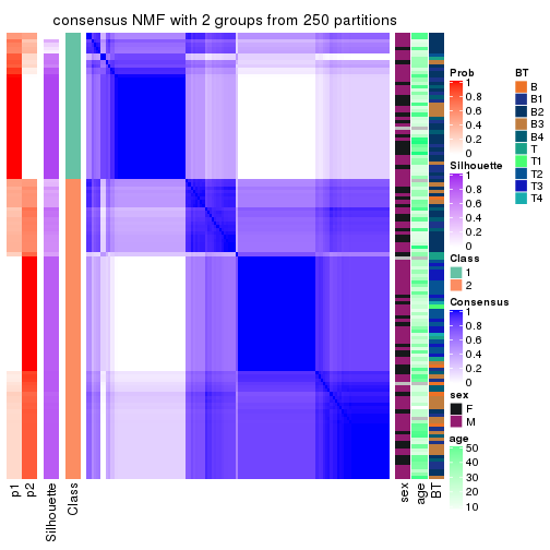 plot of chunk tab-SD-NMF-consensus-heatmap-1