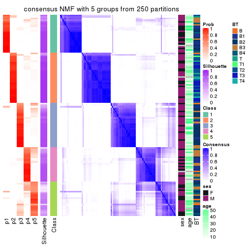 plot of chunk tab-SD-NMF-consensus-heatmap-4