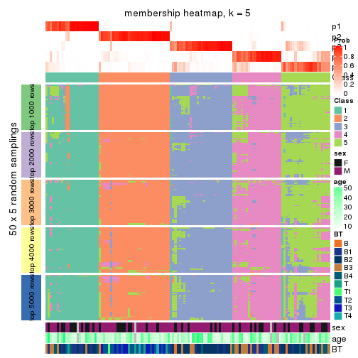 plot of chunk tab-SD-NMF-membership-heatmap-4