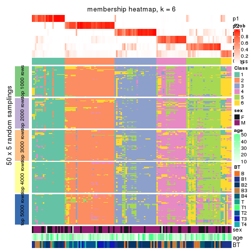 plot of chunk tab-SD-NMF-membership-heatmap-5