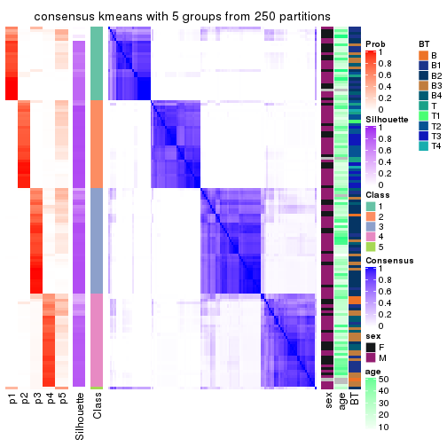 plot of chunk tab-SD-kmeans-consensus-heatmap-4