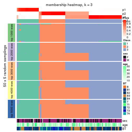 plot of chunk tab-SD-kmeans-membership-heatmap-2